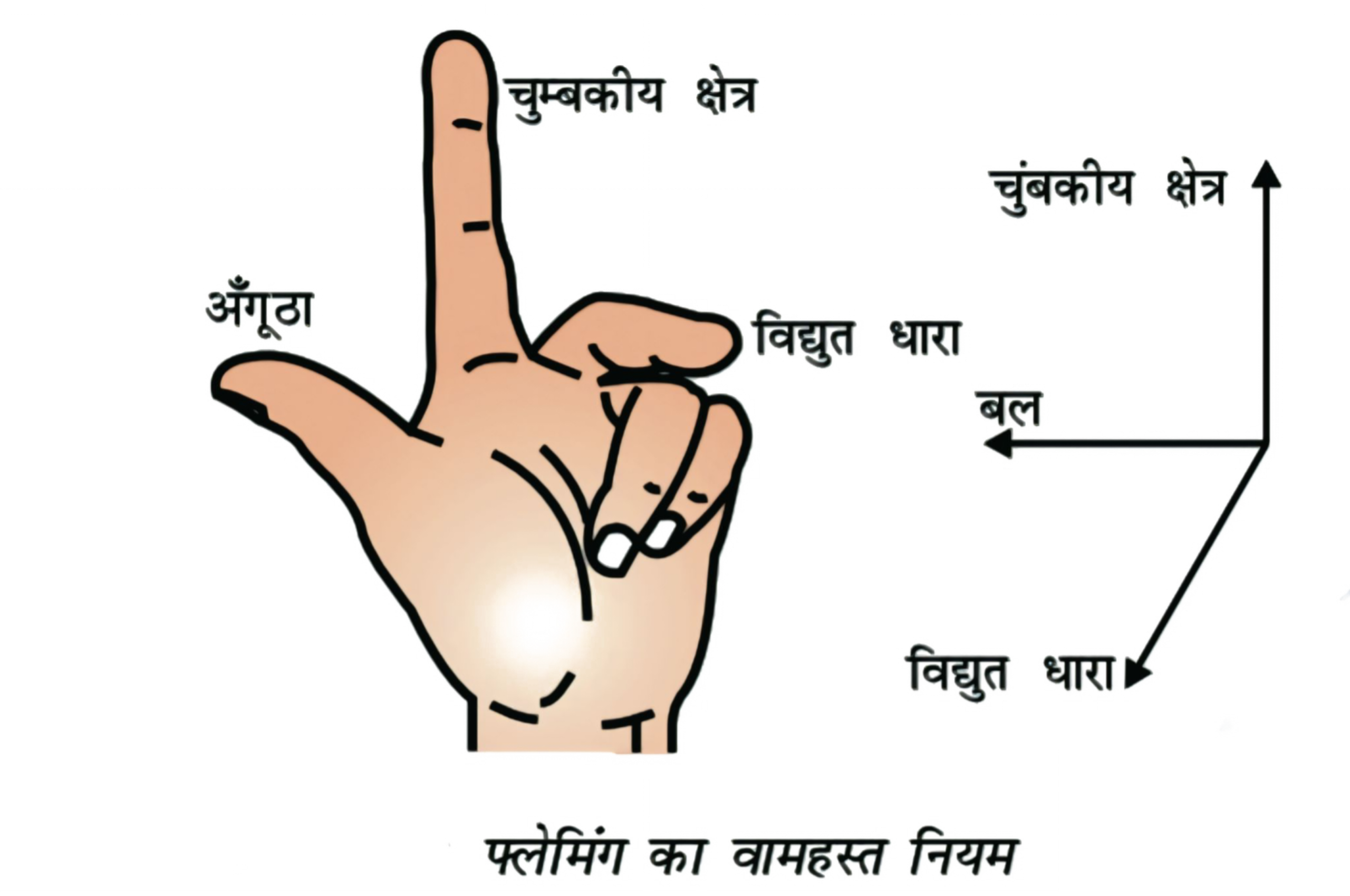 फ्लेमिंग के वाम हस्त(बायाँ हाथ) नियम